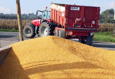 file-L’AGPM a souligné le 24 octobre la résilience du maïs, dont le rendement de 93,2 q/ha est «honorable» malgré la sécheresse.