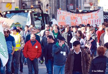 file-La mobilisation lancée par la FNSEA et les Jeunes Agriculteurs a été particulièrement forte dans certaines grandes villes : 1.000 à  Valence, plus de 1.500 à  Pau (notre photo), ou encore 5.000 à  Toulouse.