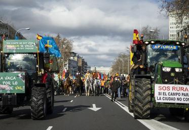 file-Tracteurs et cavaliers en tête, des milliers d’agriculteurs et d’éleveurs ont manifesté le 23 janvier à Madrid pour alerter sur les difficultés, notamment économiques, éprouvées par le monde rural.