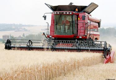 file-La production de blé des pays de la Mer noire et de la Russie sont en recul, à  cause de la sécheresse. Selon la dernière estimation du mois d'août, la récolte de blé russe n'atteindrait que 43 millions de tonnes contre 56,2 millions l'an d