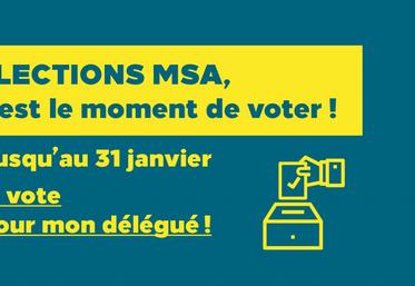 file-La MSA a lancé une importante campagne de communication et incité les OPA à appuyer son appel au vote. «Il faut rappeler l’intérêt d’avoir une protection sociale dédiée», estime le président de la caisse centrale, Pascal Cormery.