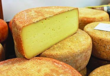 file-Les 5 et 6 octobre prochains, la foire au fromage de Laruns fera la part belle aux Alpes de Haute Provence et à son fromage AOP Banon.