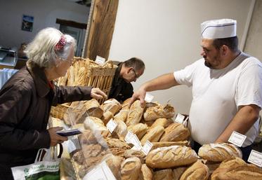 file-Les magasins bio constituent les principaux points de vente des produits issus de la filière française, notamment les boulangeries qui représentent quasiment 50%.