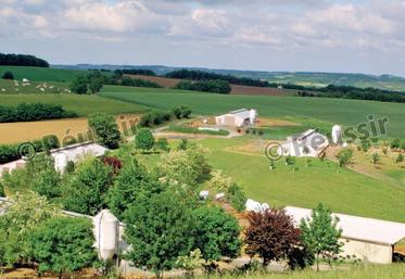 file-La volatilité des prix agricoles et les obligations environnementales de plus en plus prégnantes viennent plus que jamais renforcer la nécessité d’avoir une assise foncière la plus durable possible, estime la section des fermiers et métayers.