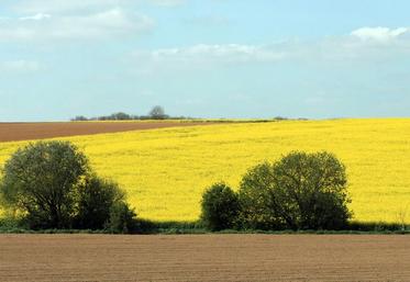 file-La phase de restitution des “surfaces non agricoles” a débuté.