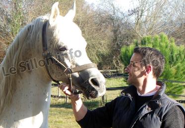 file-Les plus hautes distinctions honorent l’élevage de chevaux pur-sang arabes du garlinois Philippe Ascaso: il a été élu meilleur éleveur de France et son poulain Iniziato, truste les titres de meilleur cheval français et de numéro 6 mondial.