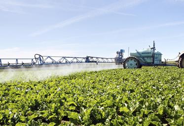 file-«Au niveau national, le recours aux produits phytosanitaires a augmenté de 5,8% entre la période 2011-2012-2013 et la période 2012-2013-2014 et de 9,4% entre 2013 et 2014», d’après le communiqué du ministère de l’agriculture.