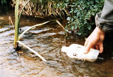 file-Même si la situation varie d’un État membre à l’autre, les analyses ont révélé que les niveaux de nitrates d’origine agricole ont diminué dans les cours d’eau européens.