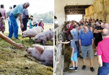 file-Le samedi 12 septembre, 12 agriculteurs du Béarn et au Pays basques invitent le public venir les rencontrer pour mieux faire connaissance et mieux se comprendre.