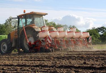 file-D’après Céréobs, moins de 10.000 hectares de maïs grain sont encore à ensemencer sur l’Aquitaine. 75% des surfaces sont levées et 20% ont atteint le stade 6 feuilles.