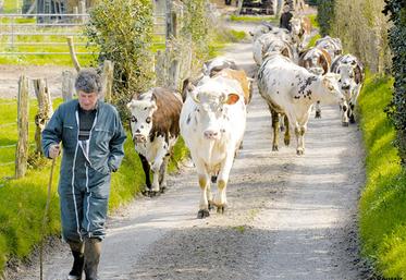 file-Les agriculteurs qui déclarent connaître des difficultés « importantes » pointent les charges d'exploitation, le poids de la réglementation environnementale et sanitaire, les prix ou encore la diminution des aides. Â© Réussir