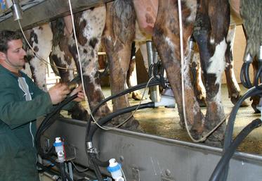 file-La production laitière brute des vaches a diminué de 20 kg en 2019.