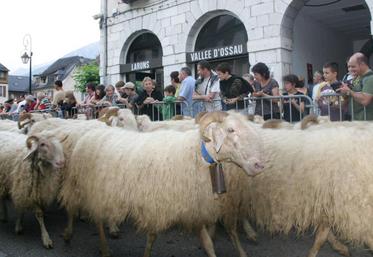 file-Des milliers de personnes se rassemblent chaque année à Laruns pour assister à la montée des troupeaux en estive. // Photo Le Sillon