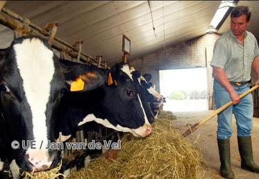 file-En Belgique, les professionnels du pays se sont mis d’accord pour mettre en place un système original: pendant six mois, la quasi-totalité des distributeurs alimentent un fonds d’aide aux producteurs de lait.
