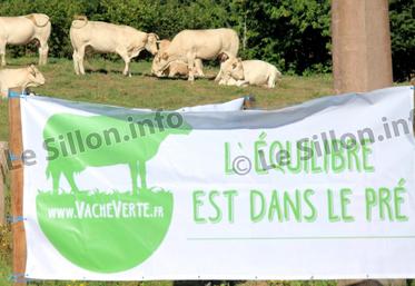 file-Les actions se multiplient pour montrer les contributions de l’élevage à la réduction des gaz à effet de serre comme, par exemple, l’opération Vache verte, lancée cet été par la FNSEA.