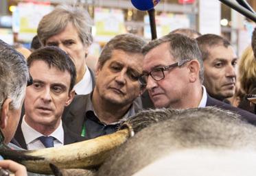 file-Au cours de sa visite du SIA, Manuel Valls a voulu faire passer aux agriculteurs «un message de solidarité».