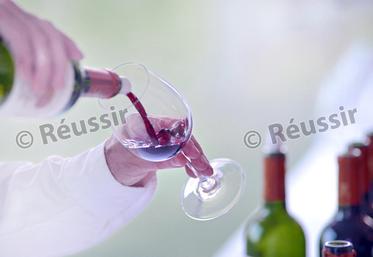 file-À l’occasion de son assemblée générale, le syndicat des vins de Tursan a fait le point sur la vendange 2015 et abordé le positionnement de ses produits sur le plan commercial.