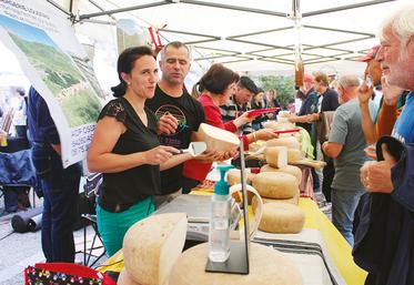 Stand de producteur fermier avec des fromages de brebis