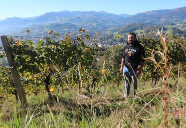  Laurent Goïty au cœur de ses vignes dans les collines du Pays basque