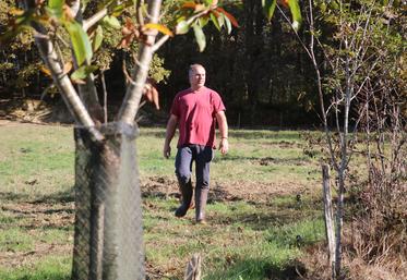 Daniel Larrieu observe ses haies bocagères depuis sa prairie.