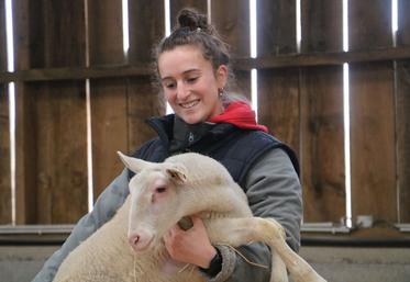 Sarah Sous un agneau dans les bras