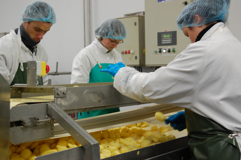 La production alimentaire se redresse progressivement | Les Marchés by  Réussir