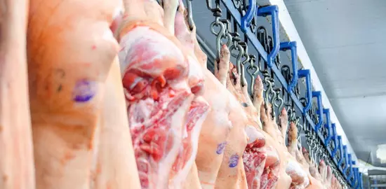 Modernisation des abattoirs