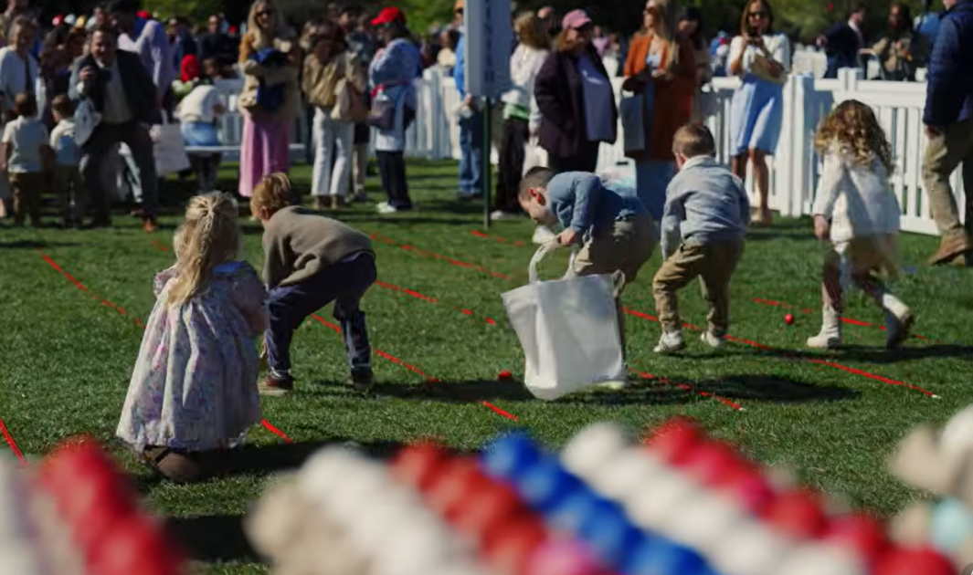 Egg prices at their lowest in the United States