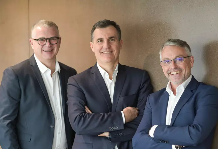 Le cabinet de conseils a atteint le million d'euros de chiffre d'affaires en 2023.