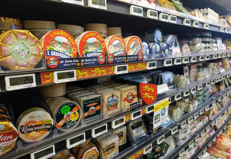 rayon fromage en supermarché