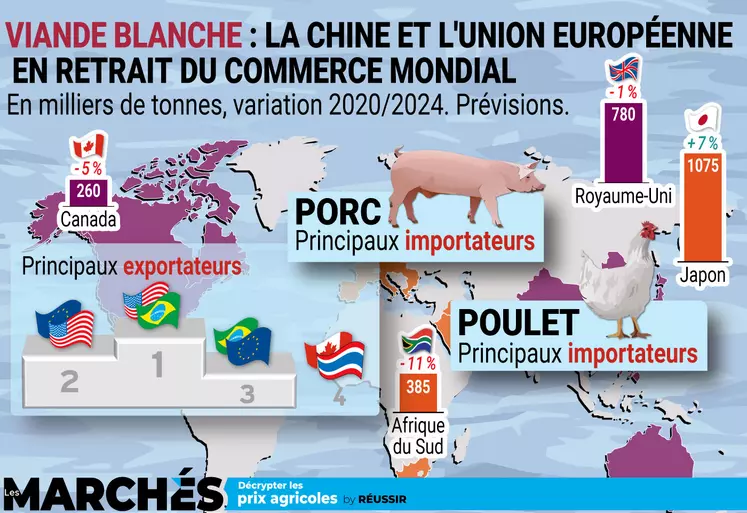 infographie Les Marchés sur le commerce mondial de porc et poulet