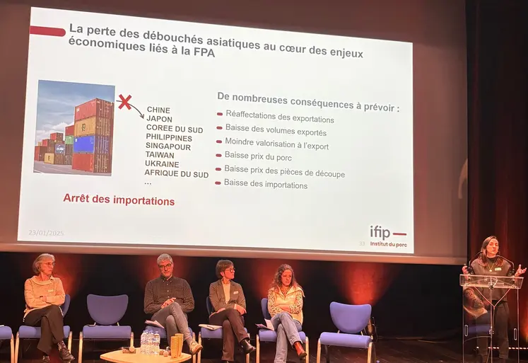 Conférence avec des intervenants de l'Ifip qui parlent de la fièvre porcine africaine