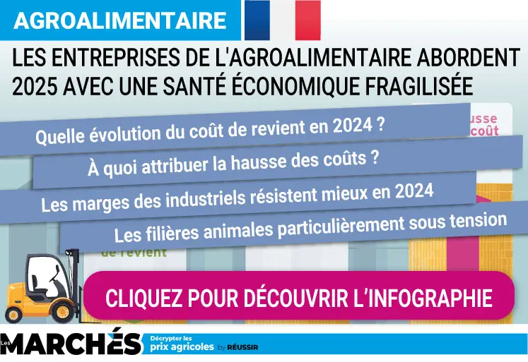 Infographie sur la santé économique des entreprises de l'agroalimentaire