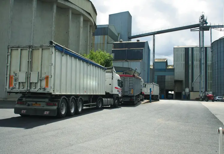 File d'attente de camions dans une usine d'aliment du bétail. 