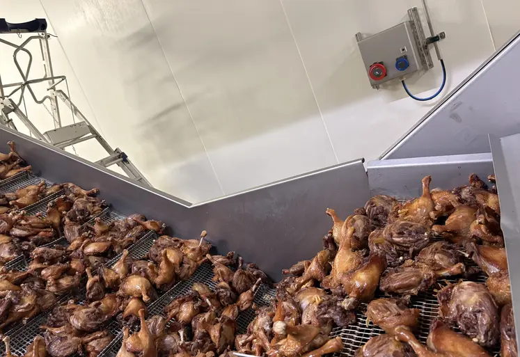 Confit de canard production Montfort