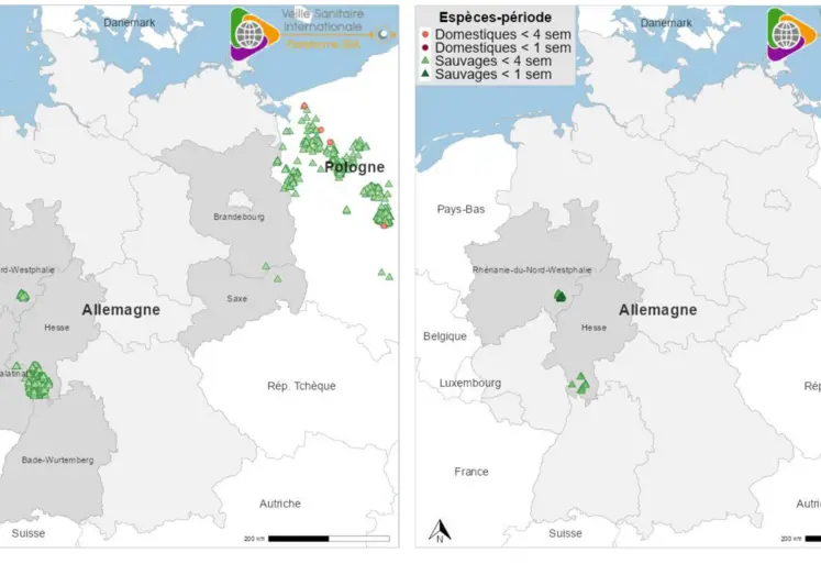Carte évolution peste porcine en Allemagne en août 2025 