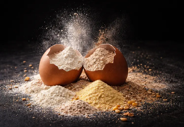 d'une coquille d'oeuf brisée, sortent des farines.