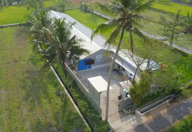 elevage en indonésie