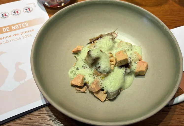 Conférence du Cifog, au 30 mars 2026 à Paris