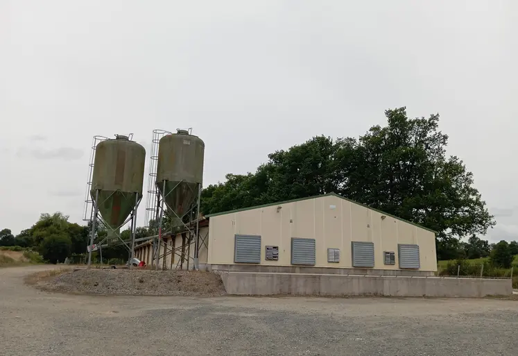Elevage de poulets en bâtiment