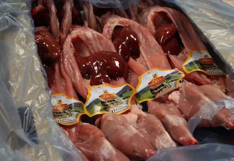 Viande de lapin 