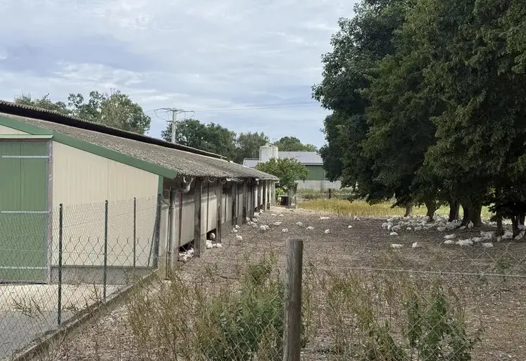 Poulailler Label Rouge d’un éleveur de poulets « Les fermes de Janzé »
