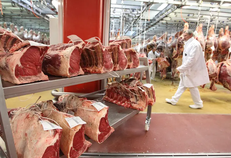 viande au marché de gros