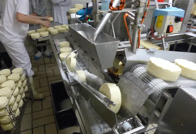 fabrication de camembert en usine