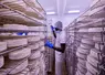 industrie agroalimentaire fromagerie