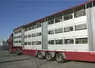 camion de transport de bétail