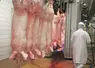 abattage porc 
