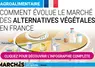 extrait de l'infographie sur les ventes d'alternatives végétales