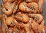 crevettes