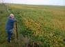 Champ de soja dans la province argentine d’Entre Ríos